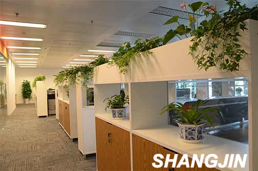 走廊文件柜储物柜