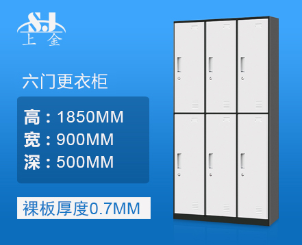 上金  新款六门更衣柜 储物柜